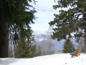 Studio au pied des pistes pour 3, animaux admis - FR-1-557-45