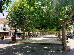 Appartements Appartement T2 climatise, terrasse, plage a 3 couchages - FR-1-251-379 : photos des chambres