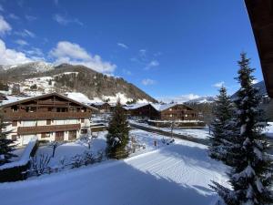 Appartements Studio Cabine a Praz-Sur-Arly, proche village et pistes, balcon, parking, piscine, 4 pers - FR-1-603-18 : photos des chambres