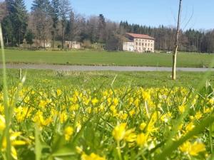 Maisons de vacances Le Gite des 4 Etangs : photos des chambres