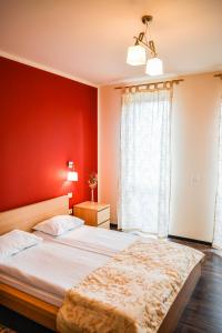 Pensiunea Franzdorf Alpin Valiug