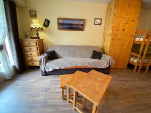 Appartements Studio 4 pers. au pied des pistes, plein sud avec balcon - Le Grand-Bornand Chinaillon - FR-1-241-225 : photos des chambres