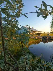 HACIENDA Drwalski Zakątek - Płudy