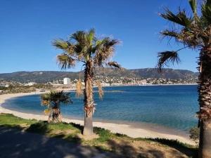 Appartements Appartement Le Lavandou, 2 pieces, 4 personnes - FR-1-308-127 : Appartement (4 Adultes)