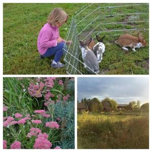 Maisons de vacances Honey Home Cottage : A Warm Welcome dans le Loiret : photos des chambres