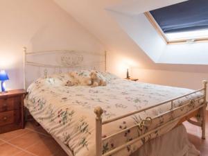 Appartement spacieux 6 pers, 2 chambres, animaux admis - Montgenèvre - FR-1-330D-62