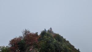 Hello Mu Cang Chai Homestay & Tours