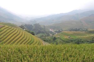 Hello Mu Cang Chai Homestay & Tours