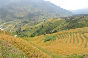 Hello Mu Cang Chai Homestay & Tours