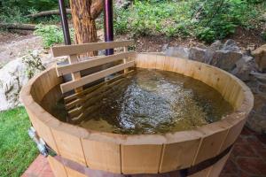 Holiday home in Novo Mesto - Dolenjska Bela krajina Unter- Weißkrain 35158 