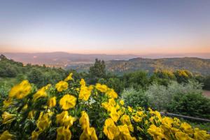 Holiday home in Otocec - Kranjska Krain 26039 