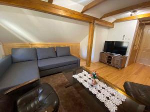 Holiday home in Crnomelj - Kranjska Krain 35279