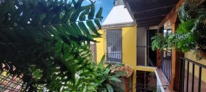 Yellow House Hostel B&B