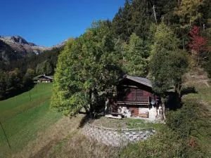 Chalet 3 pièces, 6 pers, 2 km des pistes, plein sud, internet - FR-1-342-158 - 博福特