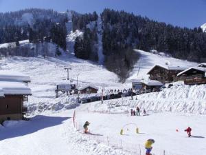 Appartement cosy 4 pers, skis aux pieds, balcon, parking, 2 étoiles - Location dim. à dim. en hiver - FR-1-342-191