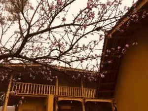 Lullaby Ha Giang Homestay - Pao-ning