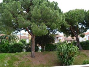 Appartements Appartement Golfe Juan, 2 pieces, 4 personnes - FR-1-252-140 : photos des chambres