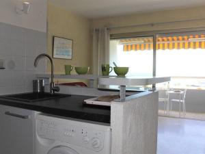 Studio rénové en bord de mer à Villeneuve-Loubet - FR-1-252A-4