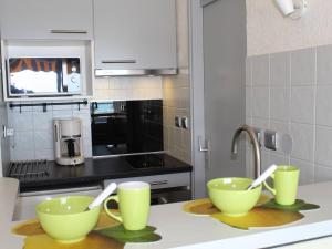 Studio rénové en bord de mer à Villeneuve-Loubet - FR-1-252A-4
