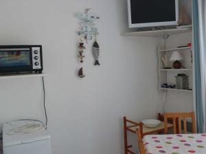 Appartement T2 cabine 2 étoiles au Lavandou avec climatisation - FR-1-308-92