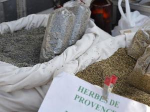 Appartements Appartement 2 pieces, climatise, 100m plage, parking, Le Lavandou - FR-1-251-218 : photos des chambres