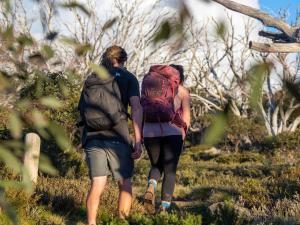 Alpine Mountain View Kirwan 10