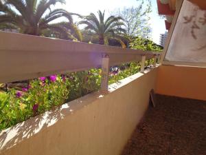 Appartements 2 pieces climatise avec terrasse et parking - Centre ville Le Lavandou - FR-1-308-66 : photos des chambres