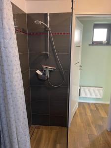 Apartament Pod Lipą