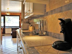 Appartement 2 Pièces 6 Couchages, Pied de Pistes, Exposé Sud, Animaux Admis - FR-1-330-214