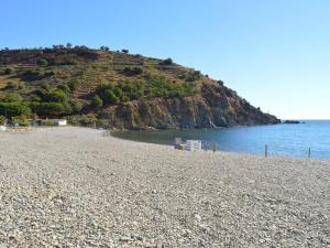 Appartements Appartement 3 pieces, 6 couchages avec parking a Cerbere - FR-1-225C-430 : Appartement (6 Adultes)