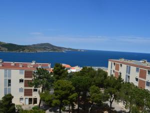 Appartements Appartement Banyuls-sur-Mer, 2 pieces, 4 personnes - FR-1-225C-442 : photos des chambres