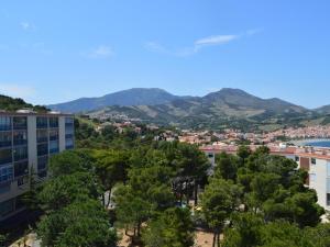 Appartements Appartement Banyuls-sur-Mer, 2 pieces, 4 personnes - FR-1-225C-442 : photos des chambres