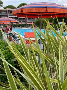 Summer House - Appartamento fronte mare