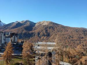 Appartements Grand appart skis aux pieds 6 pers, balcon, ascenseur, a cote du jardin des neiges, animaux admis - FR-1-322-220 : photos des chambres