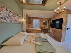 Appartements L'experience LOVE ROOM : photos des chambres