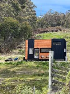 Adina Tiny House Bruny Island - Simpsons Bay