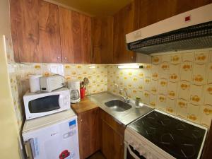 Studio skis aux pieds avec balcon au Grand-Bornand - FR-1-241-20