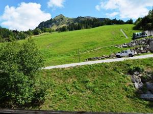 Appartements Studio Le Grand-Bornand, 1 piece, 4 personnes - FR-1-241-6 : photos des chambres