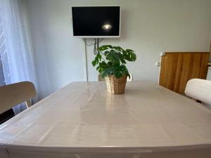 Appartements Studio Le Grand-Bornand, 1 piece, 4 personnes - FR-1-241-19 : photos des chambres