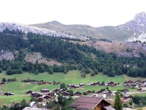 Appt 2P + mezzanine pour 6 - skis aux pieds - garage - WIFI - FR-1-241-21