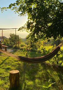 Land of Deveza - Tiny Houses