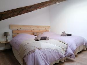 Maisons de vacances Gite l'Edelweiss 3* : photos des chambres