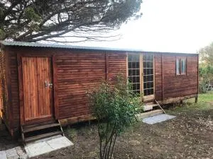 Suikerbekkie Bos - Elim