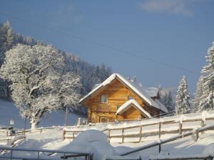 Ferienhaus Bichlhütte