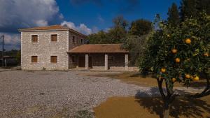 Atrium Vinea Brintziki Winery