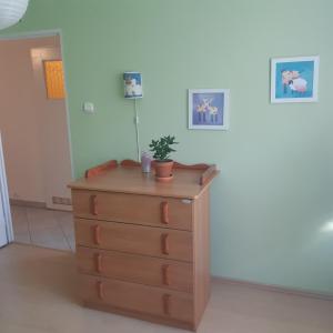 KaDaLu apartament w zielonym sercu Śląska