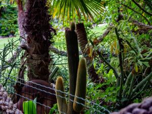 Residence L'Ulivo img61