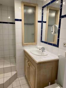 Le Roseau - en plein coeur historique