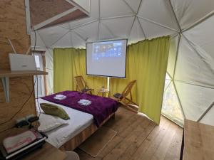 Ajara Glamping Kokotauri