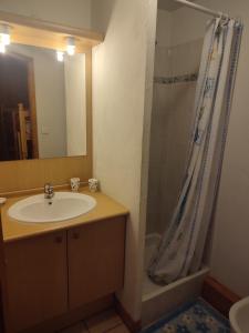 Appartements Boost Your Immo Les Deux Alpes Chalets d'or 792 : photos des chambres